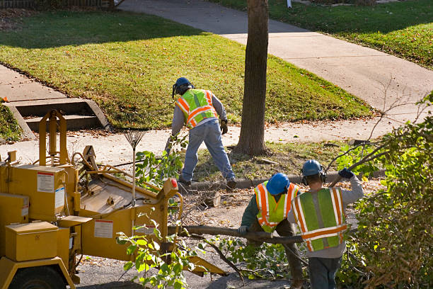 Best Weed Control Services  in Cherryville, PA